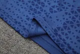2024-25 Palmeiras Royal blue Tank top and shorts suit