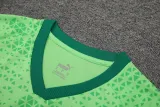 2024-25 Palmeiras Light green Training Short Suit