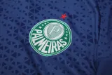 2024-25 Palmeiras Royal blue Training Short Suit