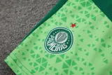 2024-25 Palmeiras Light green Training Short Suit