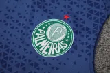 2024-25 Palmeiras Royal blue Tank top and shorts suit