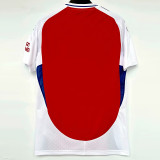 2024-25 ARS Home 1:1 Fans Soccer Jersey
