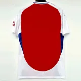 2024-25 ARS Home 1:1 Fans Soccer Jersey