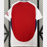 2024-25 ARS Home 1:1 Fans Soccer Jersey