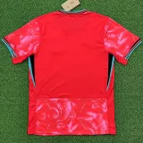 2024-25 Korea Home Fans Soccer Jersey