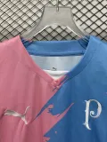 2023-24 Palmeiras Pink Blue Special Edition Training shirts