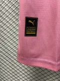 2023-24 Palmeiras Pink Blue Special Edition Training shirts