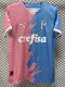 2023-24 Palmeiras Pink Blue Special Edition Training shirts