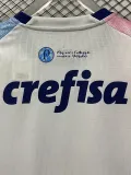 2023-24 Palmeiras White Pink Blue Special Edition Training shirts