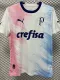 2023-24 Palmeiras White Pink Blue Special Edition Training shirts