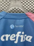 2023-24 Palmeiras Pink Blue Special Edition Training shirts