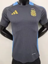2024-25 Argentina Grey Player Version Training shirts