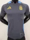 2024-25 Argentina Grey Player Version Training shirts