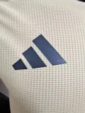 2024-25 Argentina Khaki Player Version Training shirts