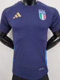 2024-25 Italy Royal blue Player Version Training shirts