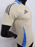 2024-25 Argentina Khaki Player Version Training shirts