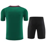 2024-25 PSG Green Training Short Suit