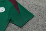 2024-25 PSG Green Training Short Suit