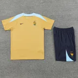 2024-25 France Yellow Training Short Suit