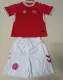 2024-25 Denmark Home Kids Soccer Jersey