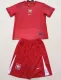 2024-25 Poland Away Kids Soccer Jersey