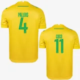 2024-25 Nantes Home Fans Soccer Jersey