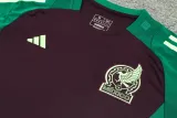 2024-25 Mexico Maroon Training Short Suit