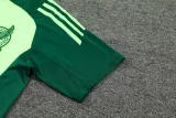 2024-25 Mexico Green Training Short Suit