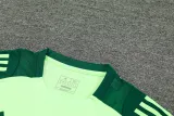 2024-25 Mexico Green Training Short Suit