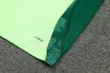 2024-25 Mexico Green Training Short Suit