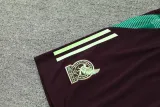 2024-25 Mexico Green Training Short Suit