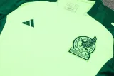 2024-25 Mexico Green Training Short Suit