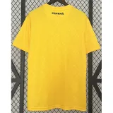 2024-25 Panama Third Fans Soccer Jersey