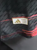 2024-25 Japan Red Special Edition Player Version Soccer Jersey (夕阳红)