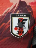 2024-25 Japan Red Special Edition Player Version Soccer Jersey (夕阳红)