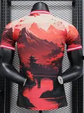 2024-25 Japan Red Special Edition Player Version Soccer Jersey (夕阳红)