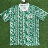 2024-25 Celtic Green Training Shirts