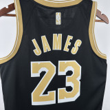 2022-23 LAKERS JAMES #23 Black Glory Edition Top Quality Hot Pressing NBA Jersey (荣耀版)