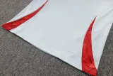 2024-25 Spain Light blue Half Pull Tracksuit (半拉链)