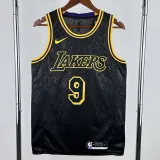 Lakers JAMES JR. #9 Black Top Quality Hot Pressing NBA Jersey(蛇纹)