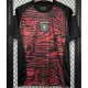 2024-25 Germany Red Black Training shirts