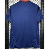 2010 Spain Away Royal Blue Retro Soccer Jersey(带胸前决赛字)