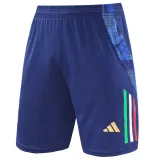2024-25 Italy Royal blue Training Shorts Pants