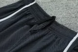 2024-25 LIV Grey Training Shorts Pants