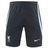 2024-25 LIV Grey Training Shorts Pants