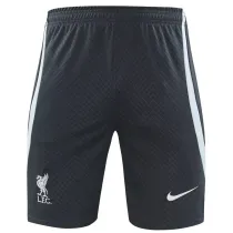 2024-25 LIV Grey Training Shorts Pants