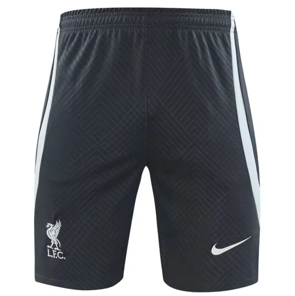 2024-25 LIV Grey Training Shorts Pants