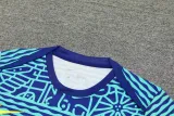 2024-25 Brazil Fancy blue Training Short Suit
