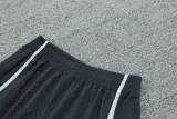 2024-25 LIV Grey Training Shorts Pants