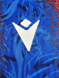 2024-25 Crystal Palace Home Player Version Soccer Jersey